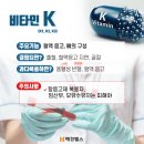 비타민K 티스토리
