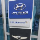 블루핸즈 감삼점 이미지