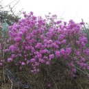 산수화농장 이미지