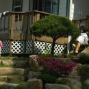 팔색조 펜션 이미지