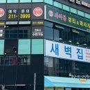 멍멍 앤 야옹 이미지