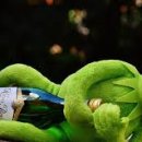 고지혈증의 이해와 관리 이미지