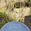 제주 사계리 용머리 화산쇄설층 이미지