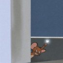 안녕그린세차 | 🚘 EV3 신차패키지｜에메랄드 반사썬팅 더 스미스 미러그린(FLUX) 시공 후기