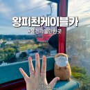 울진 가볼만한곳ㅣ왕피천공원, 왕피천케이블카 탑승후기