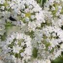 응달농장 이미지