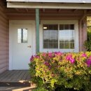 플랜비(plan B) 이미지