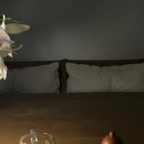 백합기물