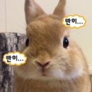 6월 일상