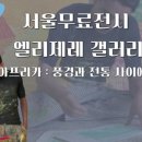 엘리제레