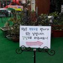 보광유치원 이미지