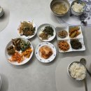[미국 월배당 기록] 리얼티인컴 28주 배당 입금, 실수령 후기