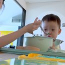 손연재 유튜브 브이로그에 잡힌 레인지로버, 4세대 후기형이었다