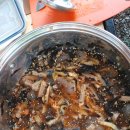 별자리농원 이미지