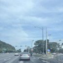 달구벌카서비스 | 삼성라이온즈파크 스윗박스 가격 예매 먹거리 VIP주차