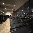 송강헬스 이미지