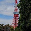 하나콘도민박 이미지