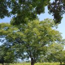 포충사 주차장 이미지