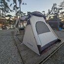 솔향기길야영장 이미지