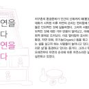 자연을담다 Daum카페