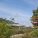 자등1리~자등5리 이미지