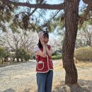 카페봄봄안심점 네이버블로그