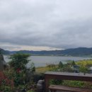 소나무농원 캠핑장 이미지