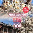 3H안동구시장센터 | 안동 매화 명소 개화시기 가볼만한곳 당일여행 국내여행지 로망스투어