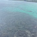 티지코리아 이미지