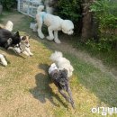 멈무아지트 이미지