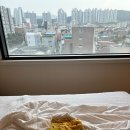 고와스킨
