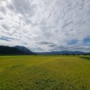 예일스테이 이미지