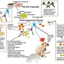 라파엘동물병원 이미지