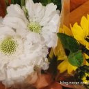 새통영농협 하나로마트죽림점 이미지