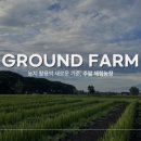 진이팜