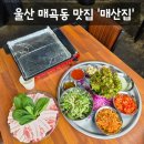 포스터울산 | [맛집] 울산 북구 매곡동 고기 맛집 울산 냉삼 맛집 '매산집 울산본점' 솔직후기 (: