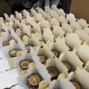 광주과학기술원 단체간식 작업후기 | 광주 디저트카페 휘핑디에그 기업 학교 병원 쿠키박스