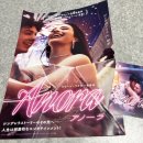 ANORA 이미지