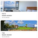 더빌라스오션 2 | 제주 서귀포 남원읍 오션뷰숙소 더빌라스오션 후기