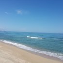 하나둘약국 이미지