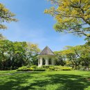 늘푸른25시슈퍼 | 싱가포르 여행코스 추천 3박5일 보타닉가든 마리나베라지 전망대 머라이언