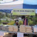 일등장터