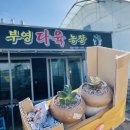 부영다육농장 이미지