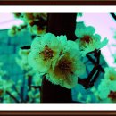 청암공원 이미지