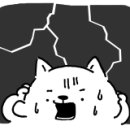 다트분당 이미지