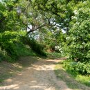 경기옛길 의주길 제5길 임진나루길 이미지