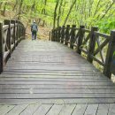 안골길 14 이미지