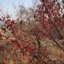 김종길 농장 이미지