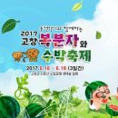 2017년 고창 복분자와 수박축제 `줌마댄스` 신청접수 안내 (~5월 31일까지) 이미지