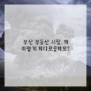 이제 부산 이미지